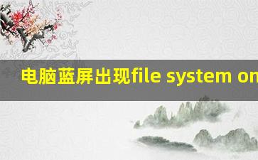 电脑蓝屏出现file system on c